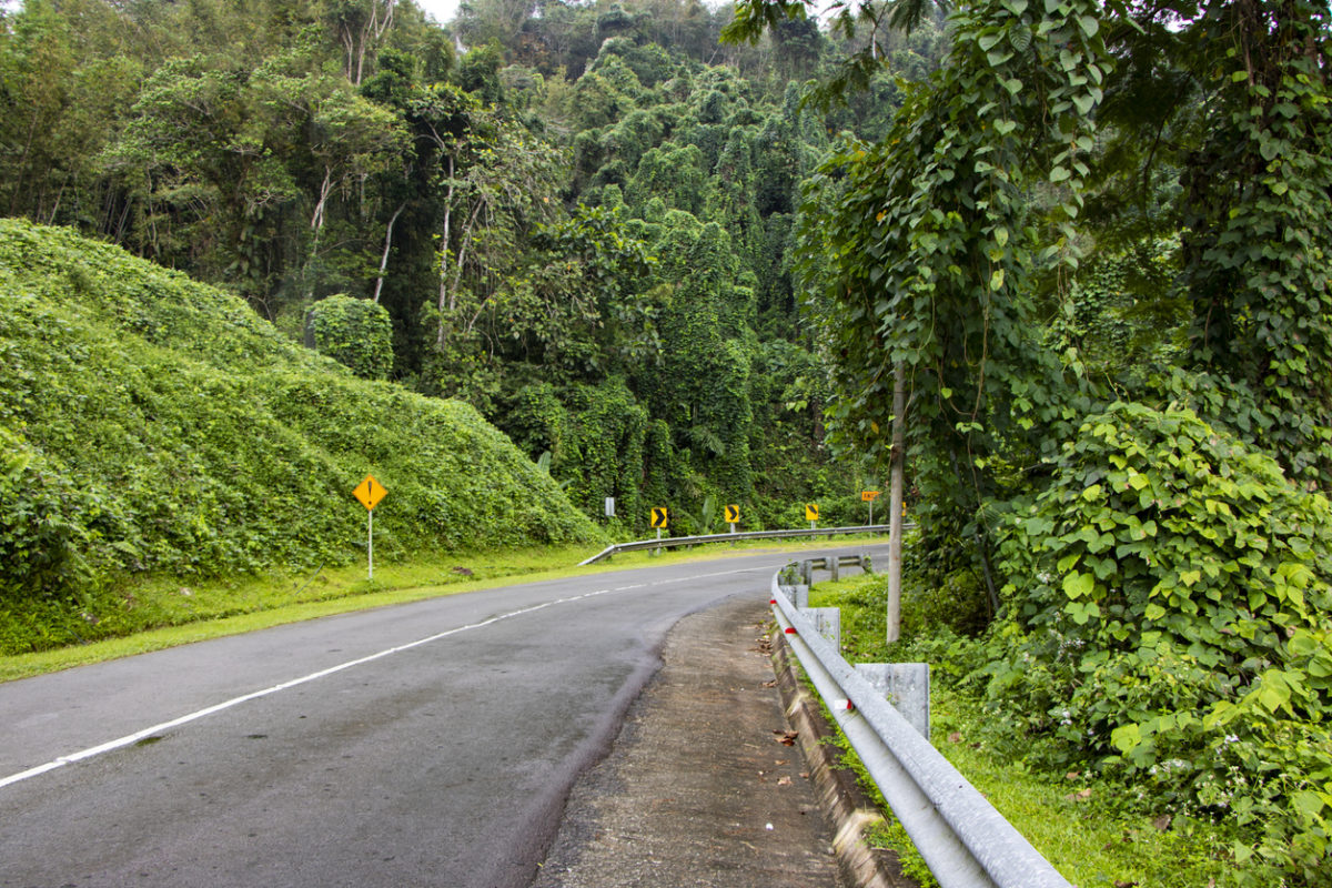 Borneo highway